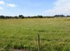 9901 Gladiolus Drive photo